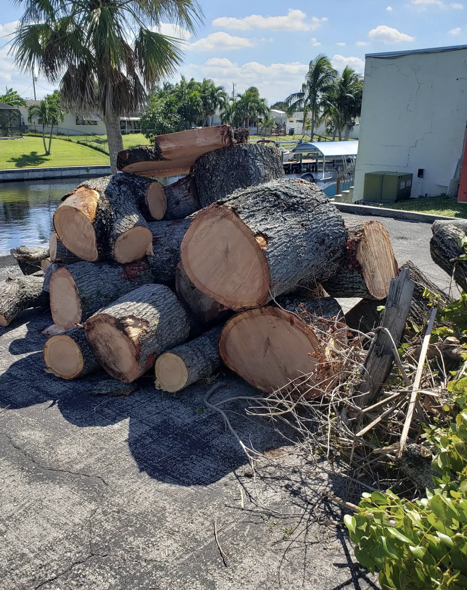 Example of hurricane storm damage — downed tree limbs in Melbourne, FL